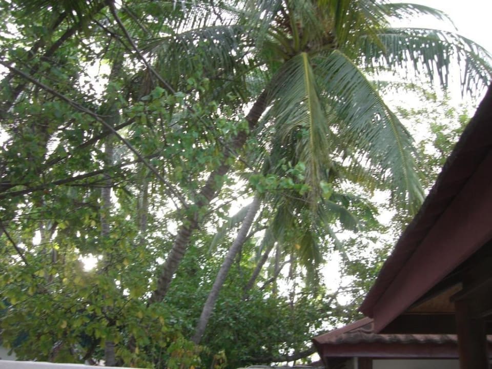 Badezimmer ananea Diamonds Athuruga