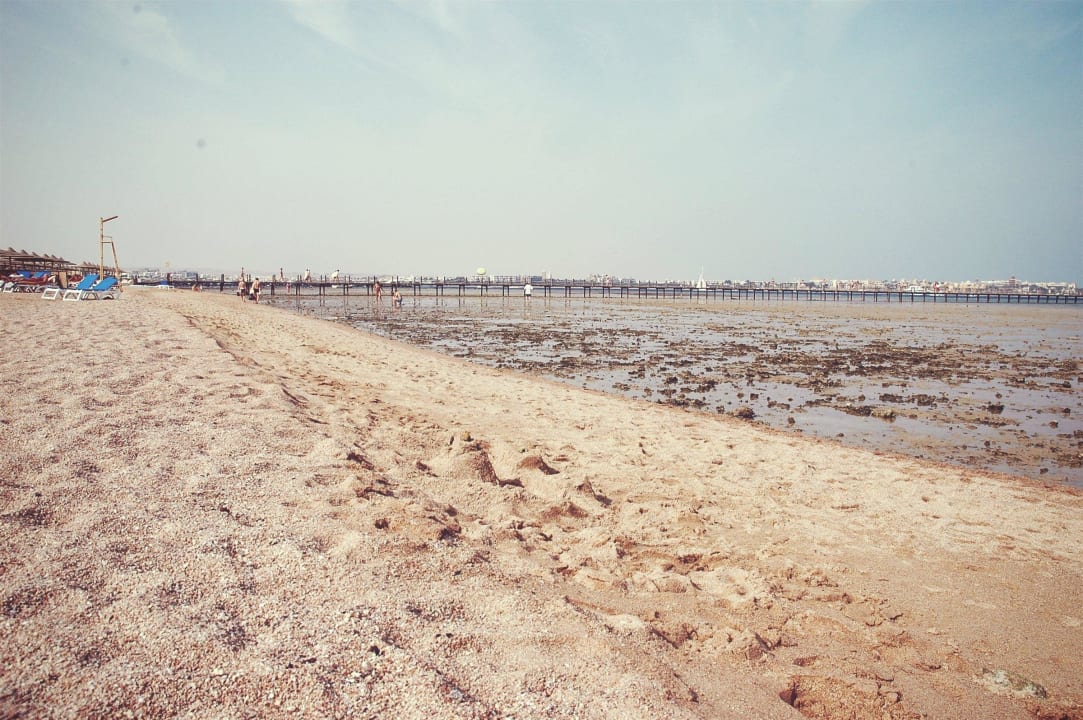 Раннее утро Stella Beach Resort & Spa Makadi Bay