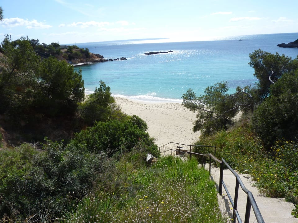 Cala Portals  Hotel Portals Palace
