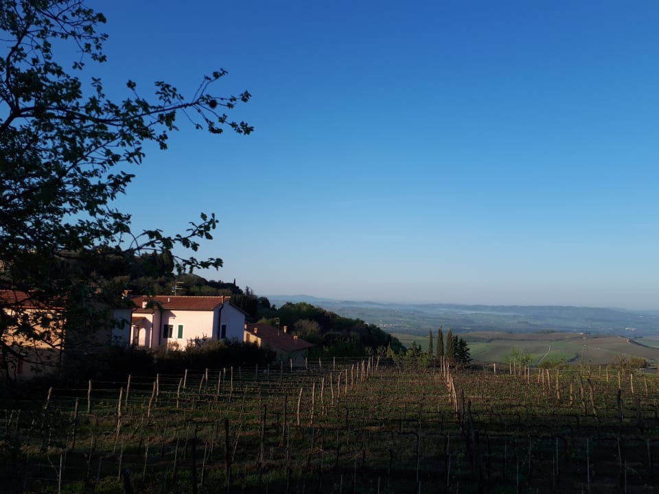 Ausblick Castel Brunello