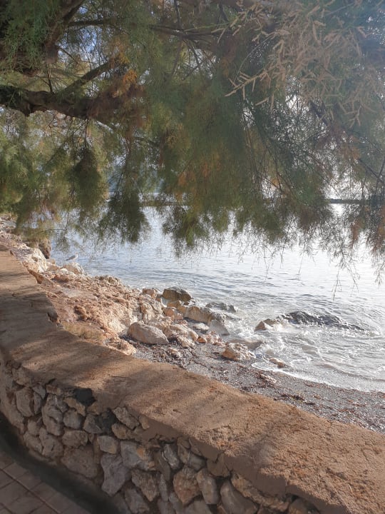 Strand Hotel Ilusion Moreyó