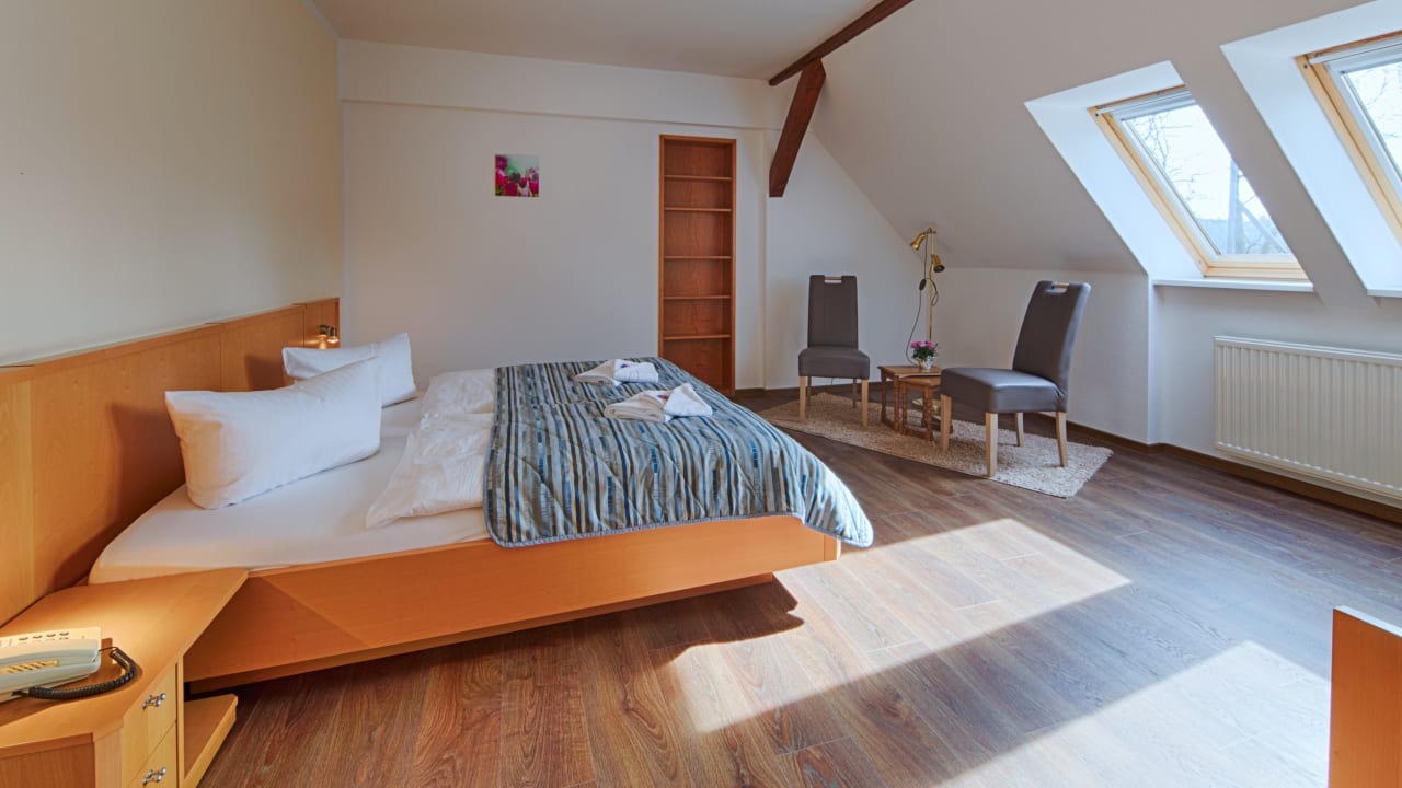 Zimmer Hotel Luther Birke Wittenberg