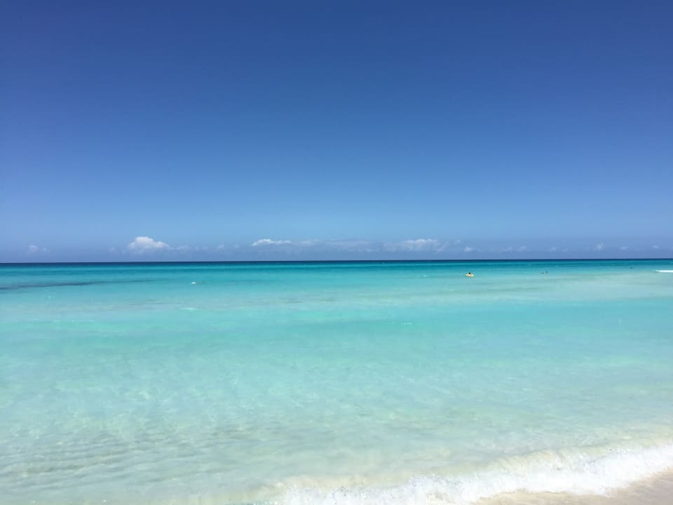 Strand Starfish Cuatro Palmas