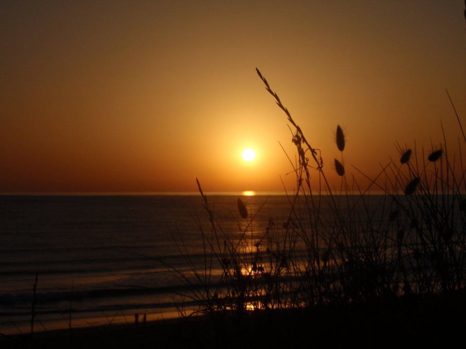 Strand Ilunion Sancti Petri