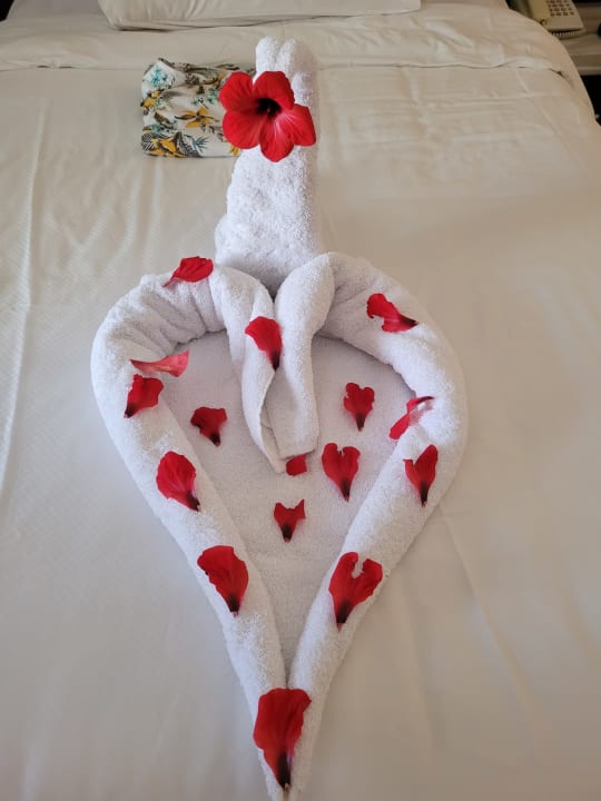 Zimmer Serenity Alma Heights