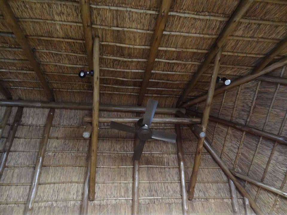 Dach innen Hotel Ivory Tree Game Lodge