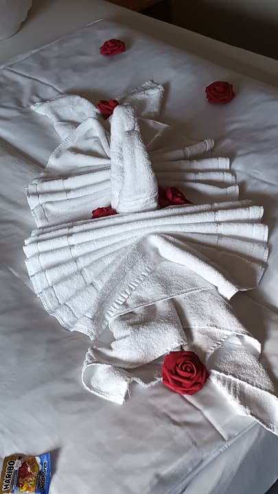 Zimmer Moselstern Hotel Brixiade & Triton