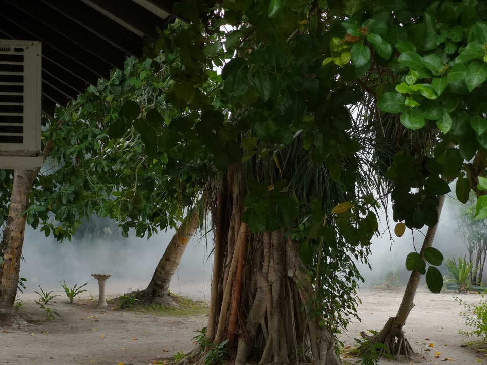 Gartenanlage Adaaran Select Meedhupparu Island Resort - Premium All Inclusive