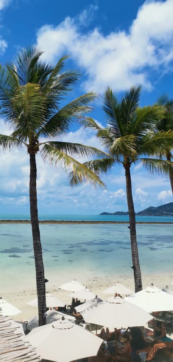 Ausblick Dara Samui Beach Resort