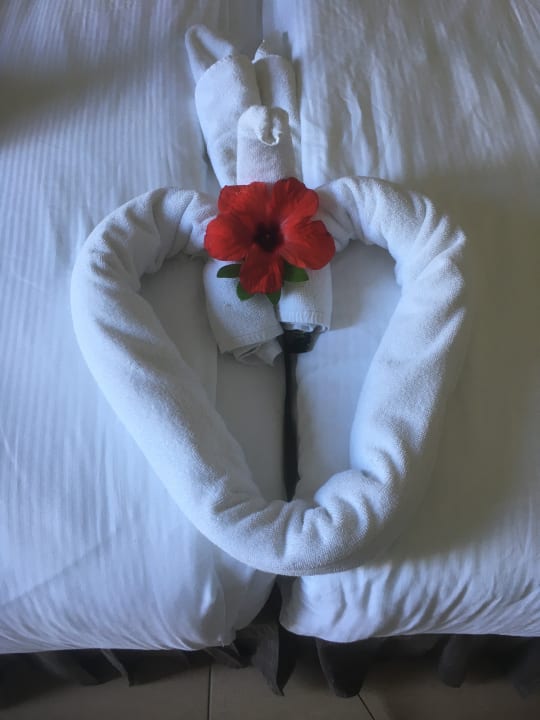 Zimmer Sunis Elita Beach Resort & Spa