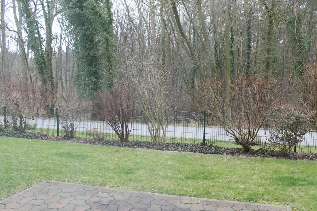 Blick auf den Wald von Kühlungsborn Hotel Am Weststrand