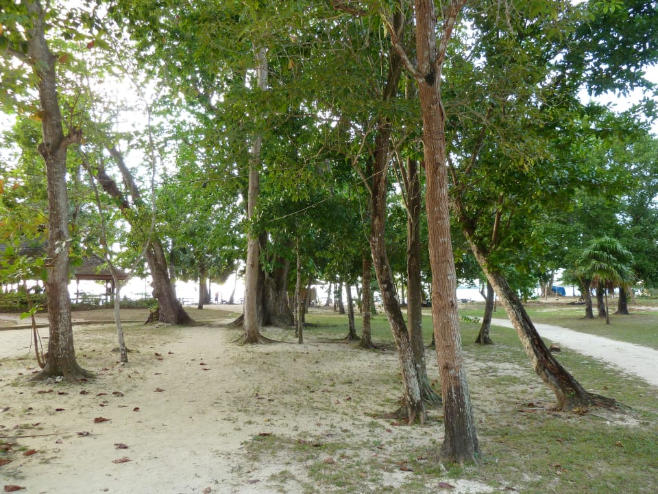 Der Park vorm Strand Sunset at the Palms Resort - Adults Only