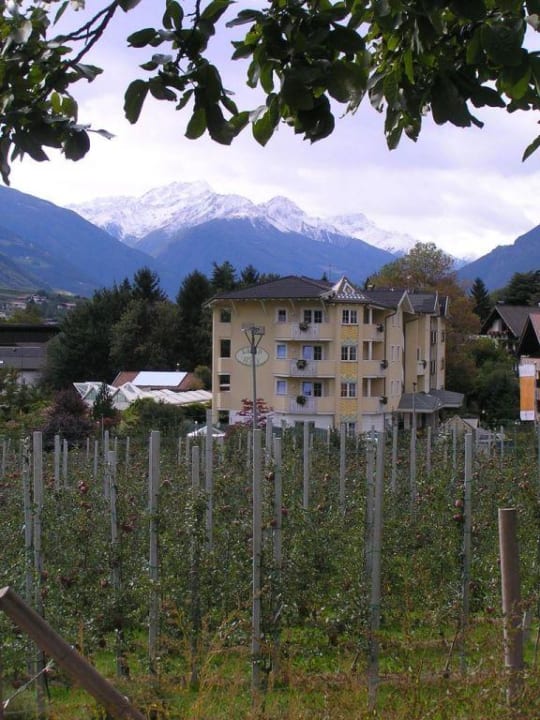 Hotel Feldhof Feldhof DolceVita Resort