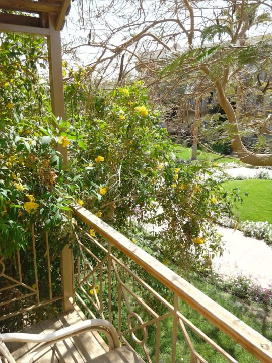 Unser Ausblick vom Balkon Desert Rose