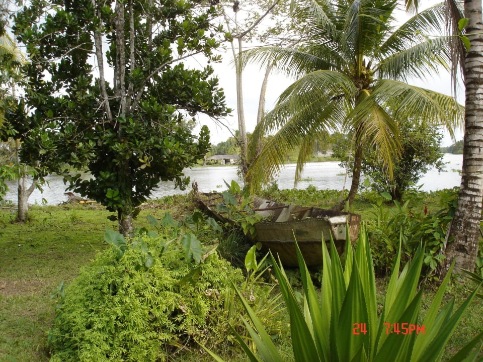 Hotel Orinoco Delta Lodge Hotel Orinoco Delta Lodge