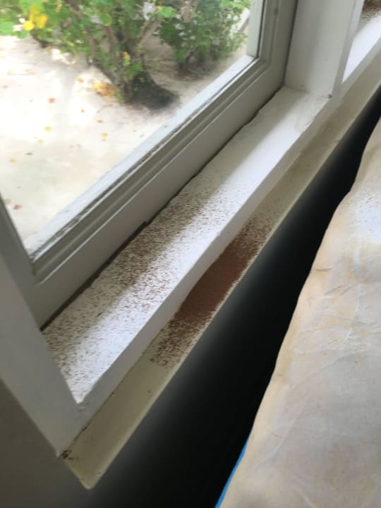 Die Spähne und Dreck der auf der Fensterbank lag  Cinnamon Dhonveli Maldives