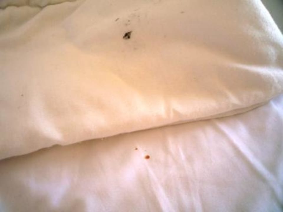 Frische Bettbezüge Sauerei ! Hotel El Mouradi Djerba Menzel