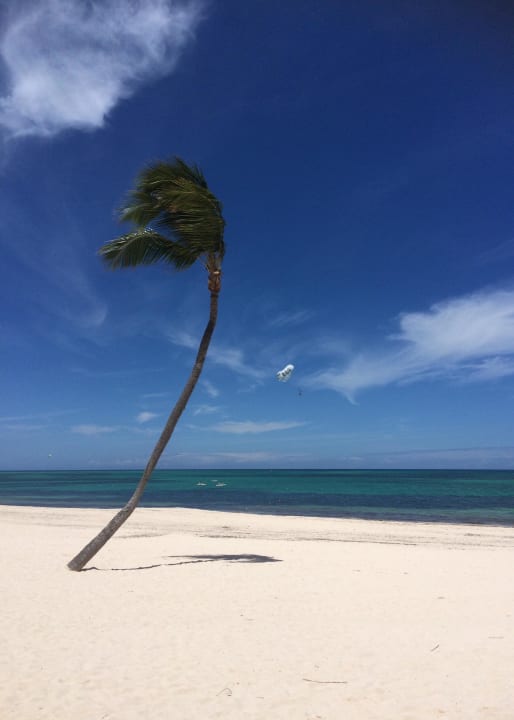 Strand Meliá Caribe Beach Resort-All Inclusive