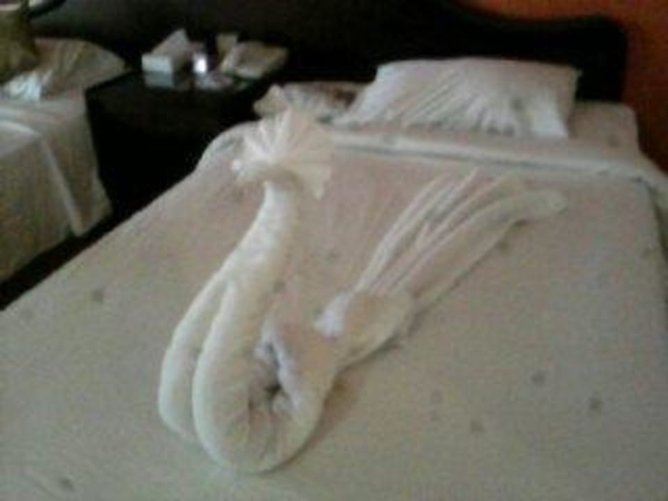 Decoration Seagull Beach Resort