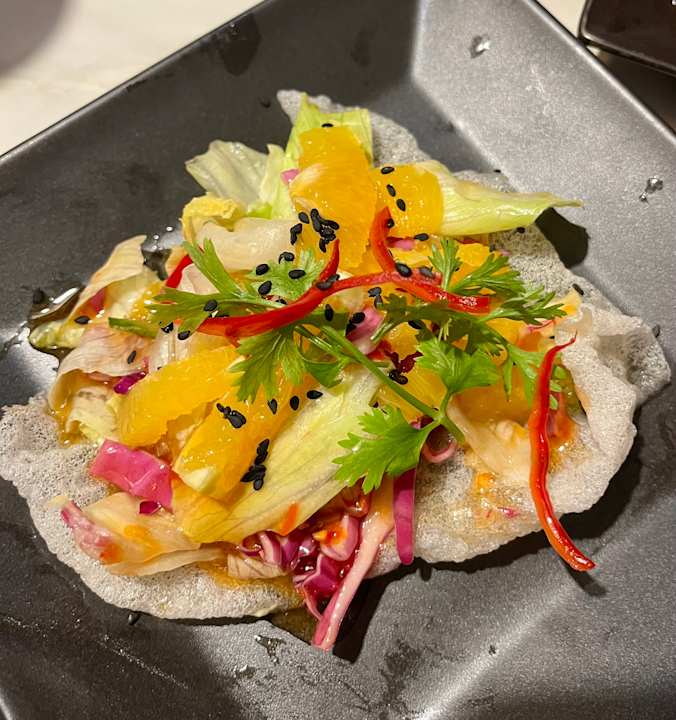 Gastro JAZ Elite Asteria