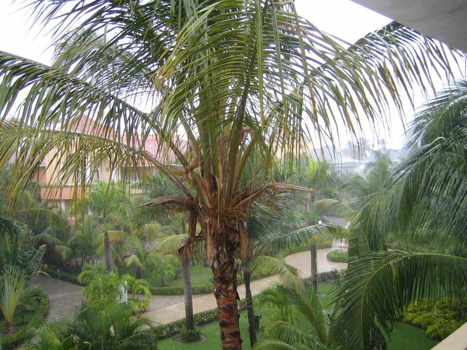 Und giessen übernimmt ein anderer Bahia Principe Luxury Ambar