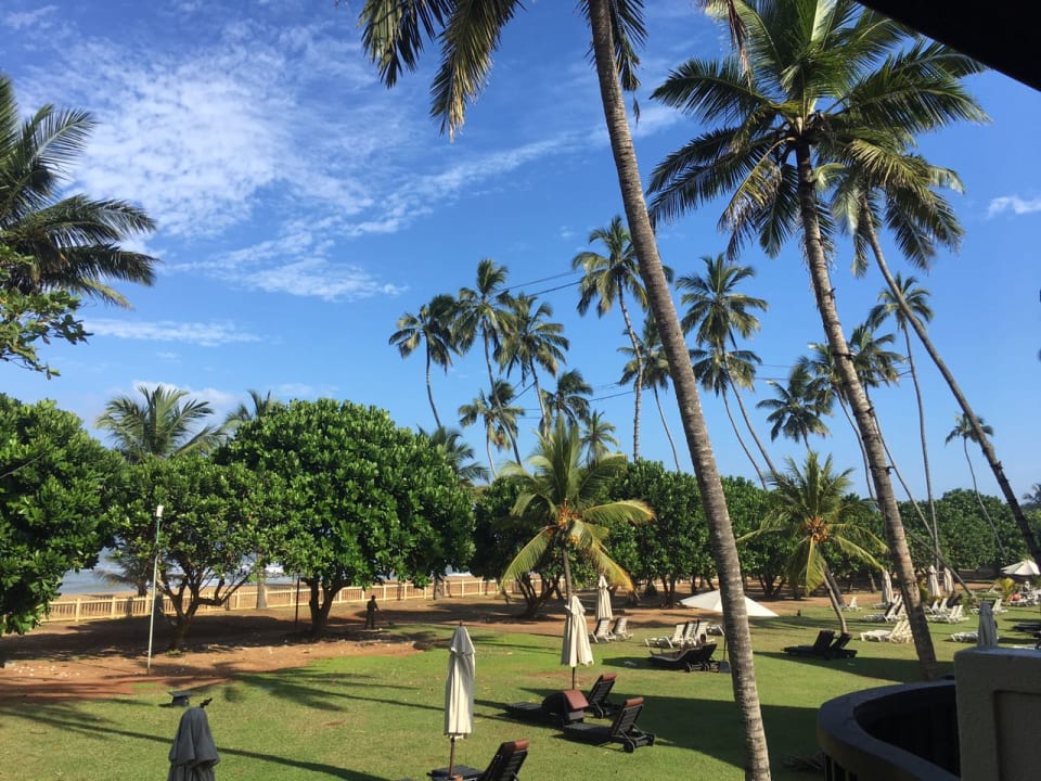 Gartenanlage Turyaa Kalutara