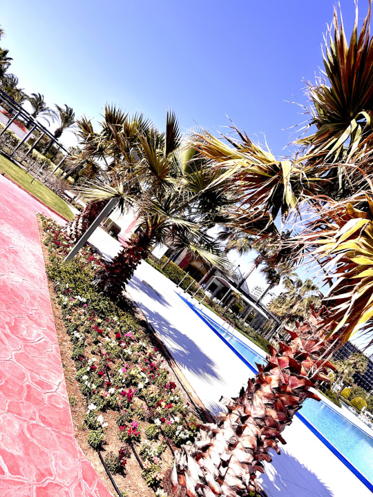 Gartenanlage Hotel Miracle Resort