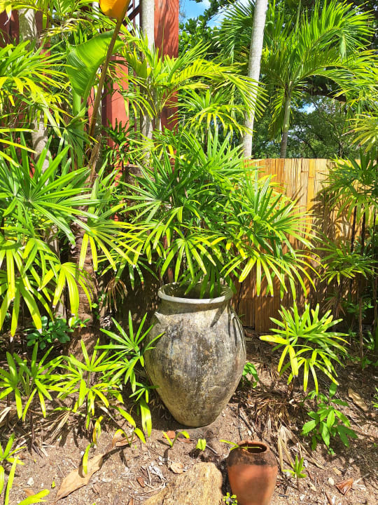 Gartenanlage Zazen Boutique Resort & Spa