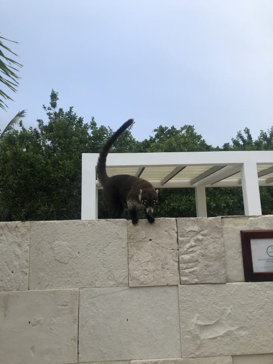 Gartenanlage Blue Diamond Luxury Boutique Hotel