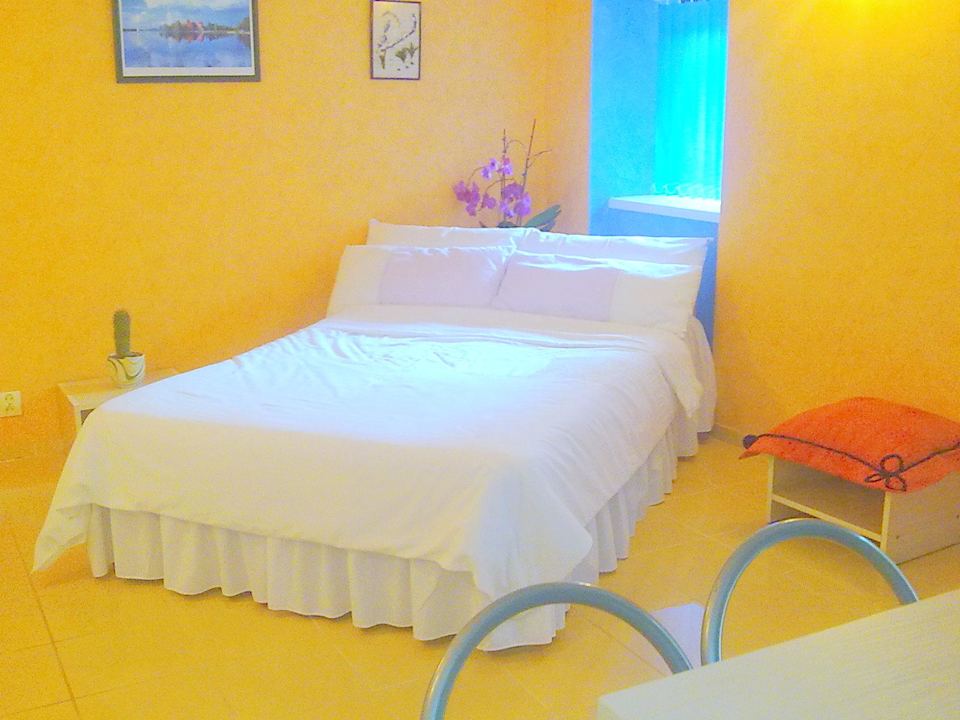 Two bedroom apartment B&B Trakai City