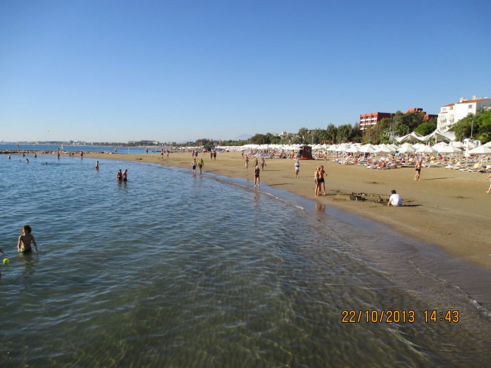 Tägichler Strandlauf PALOMA Perissia