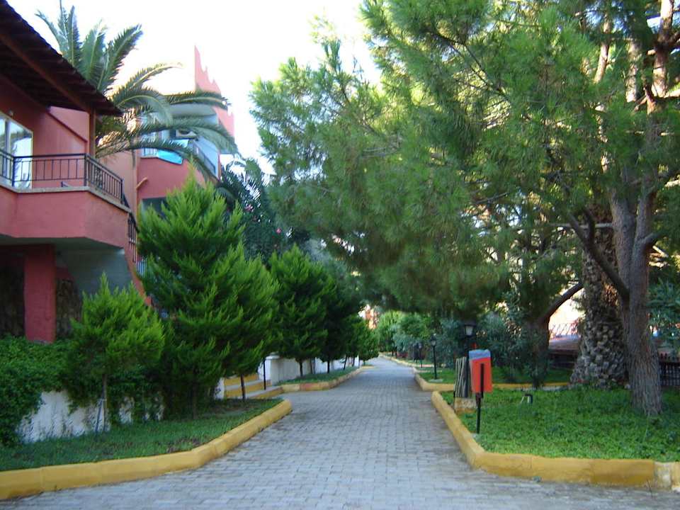 Ogród Hotel  Pigale