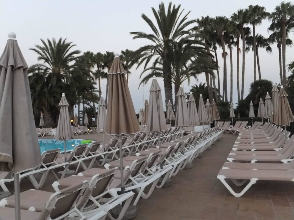 Abends alles wieder in Reih und Glied Hotel Riu Paraiso Lanzarote
