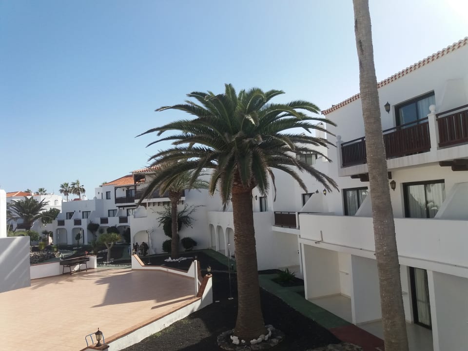 Außenansicht Apartamentos Hesperia Bristol Playa