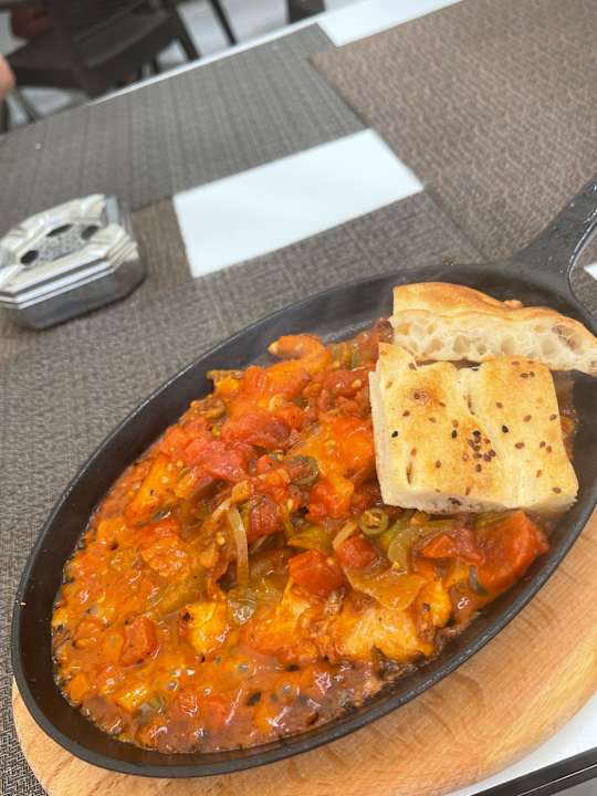 Gastro Seashell Vega