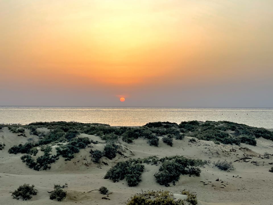 Strand Hotel Gorgonia Beach Resort