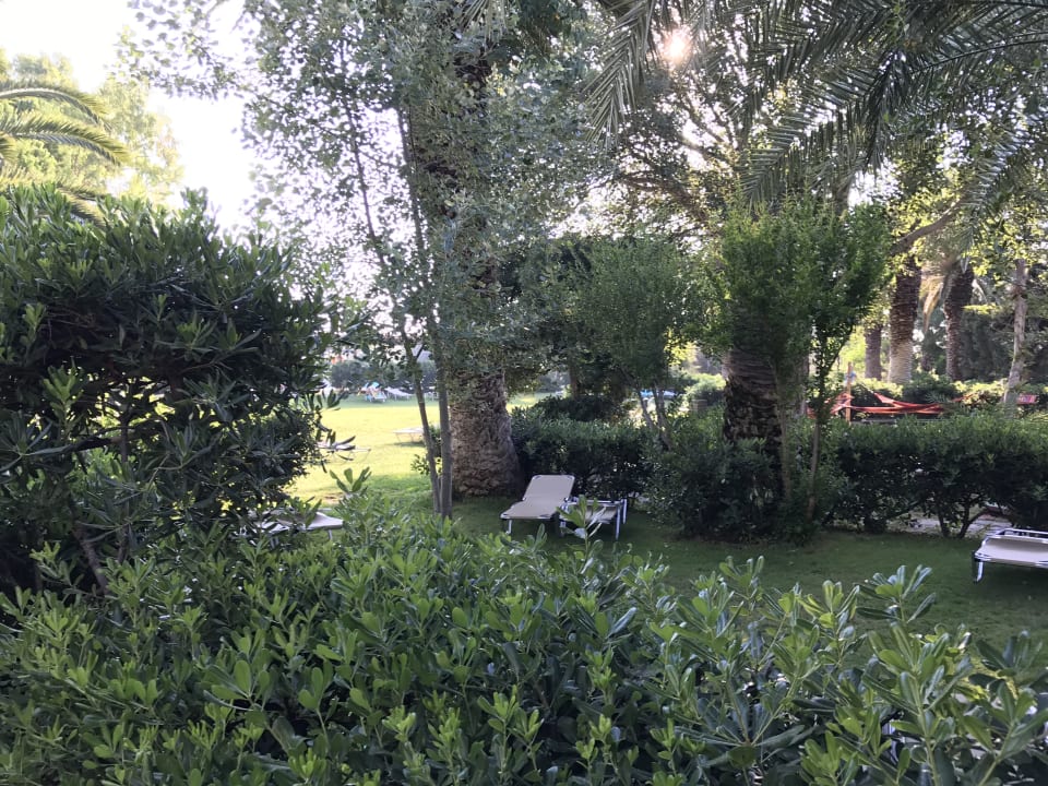 Gartenanlage Apollonia Beach Resort & Spa