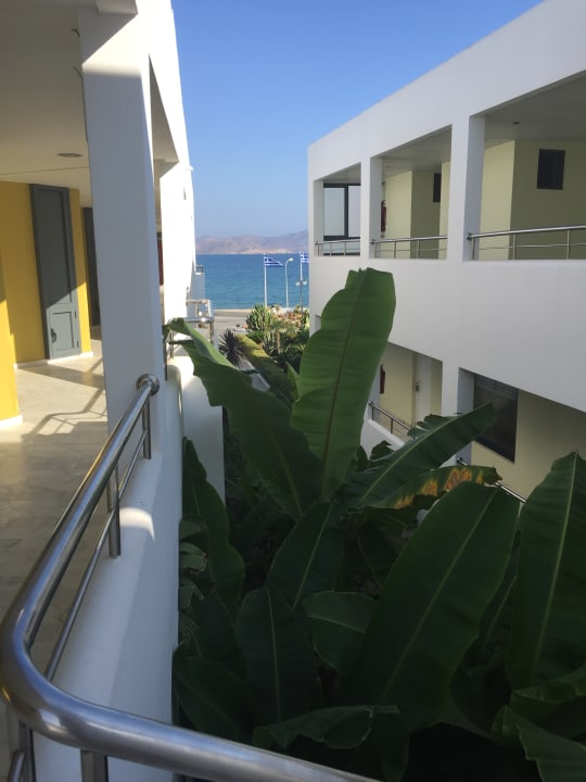 Ausblick Hotel Kos Palace