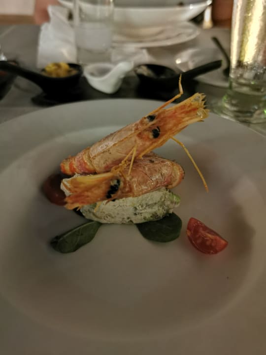 Gastro Blue Lagoon Ocean
