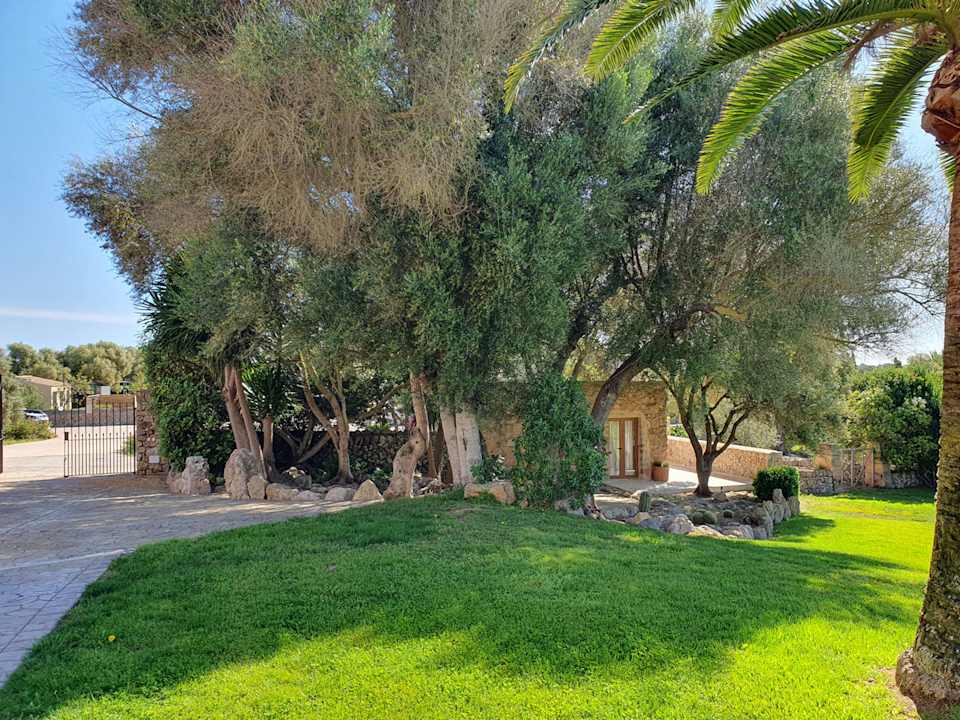 Gartenanlage Principal Son Amoixa