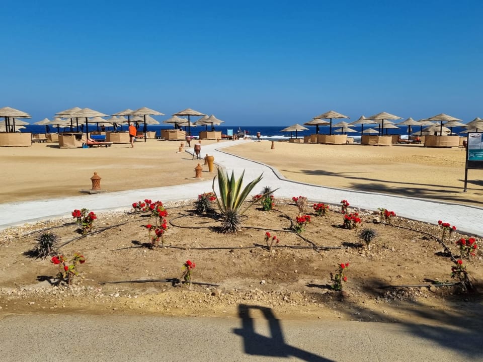 Strand Pickalbatros Sands Hotel - Port Ghalib