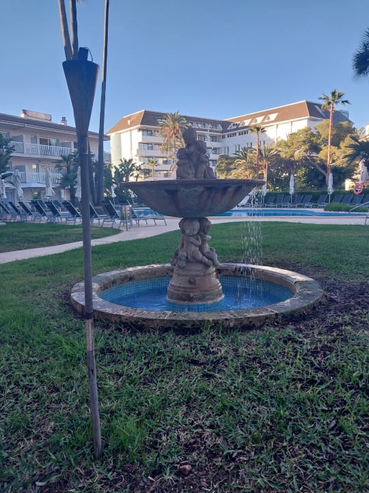Pool allsun App.-Hotel Orquidea Playa