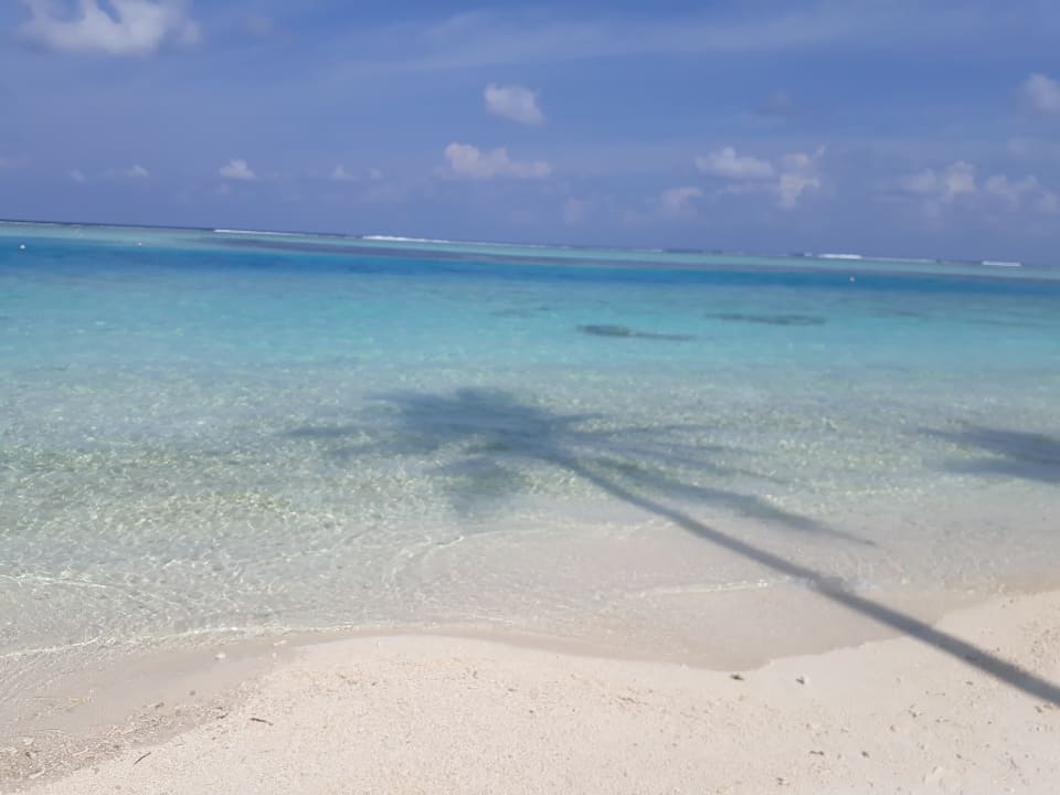 Strand Meeru Maldives Resort Island
