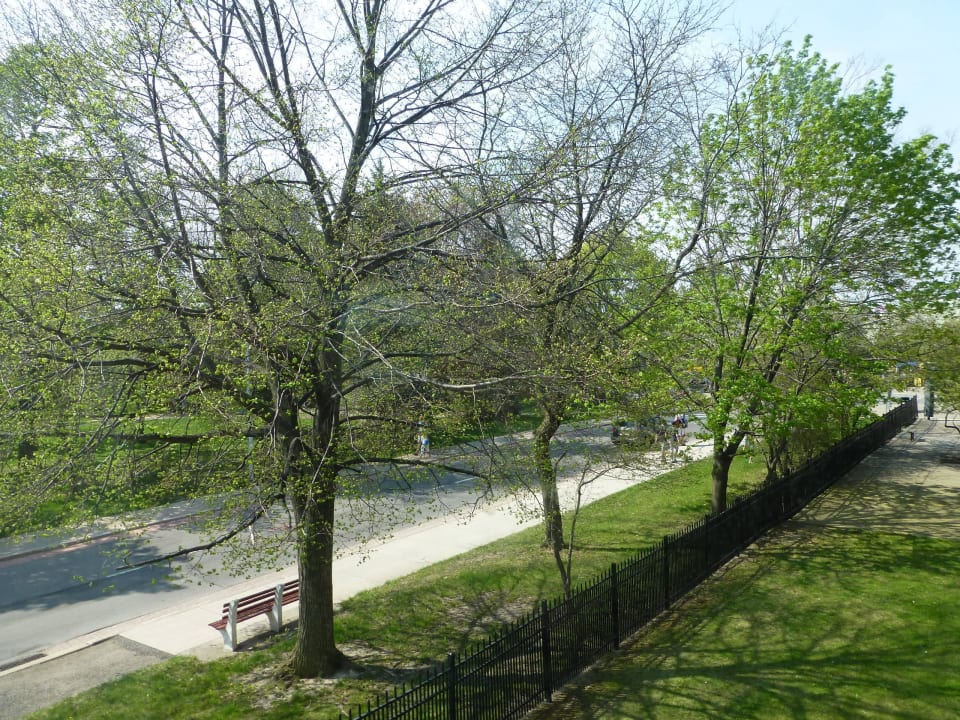 Ausblick aus Zimmer 217 Hotel Comfort Inn - The Pointe