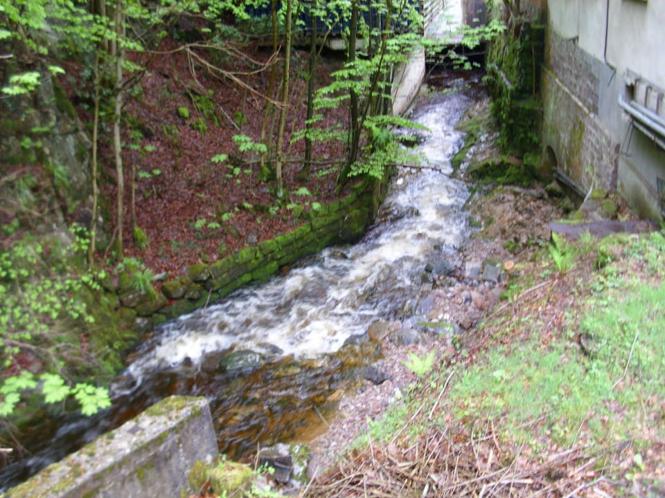 Griesbach,der den Ort durchzieht Flair Hotel Adlerbad