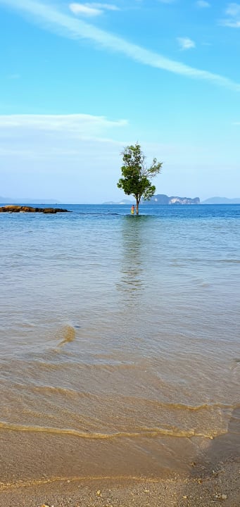 Strand Beyond Krabi