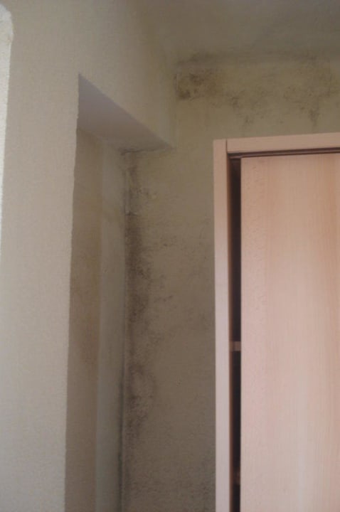 Schimmel hinter dem Schrank Ahoi! Urban Beach Hotel