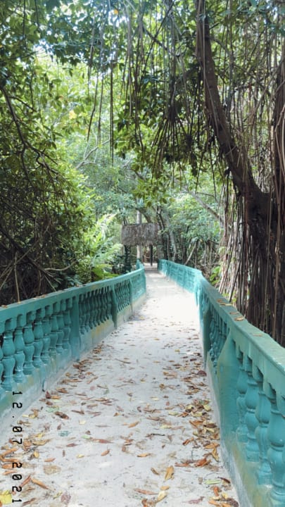 Gartenanlage Grand Bávaro Princess