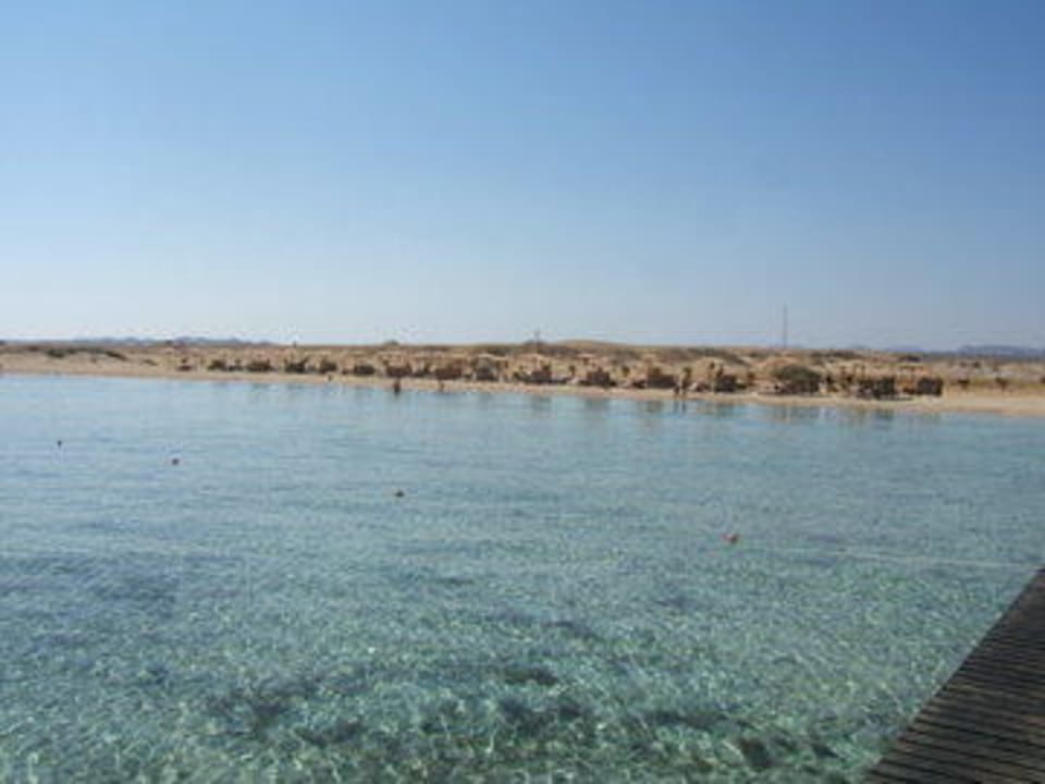 Spiaggia vista dal pontile Three Corners Fayrouz Plaza Beach Resort