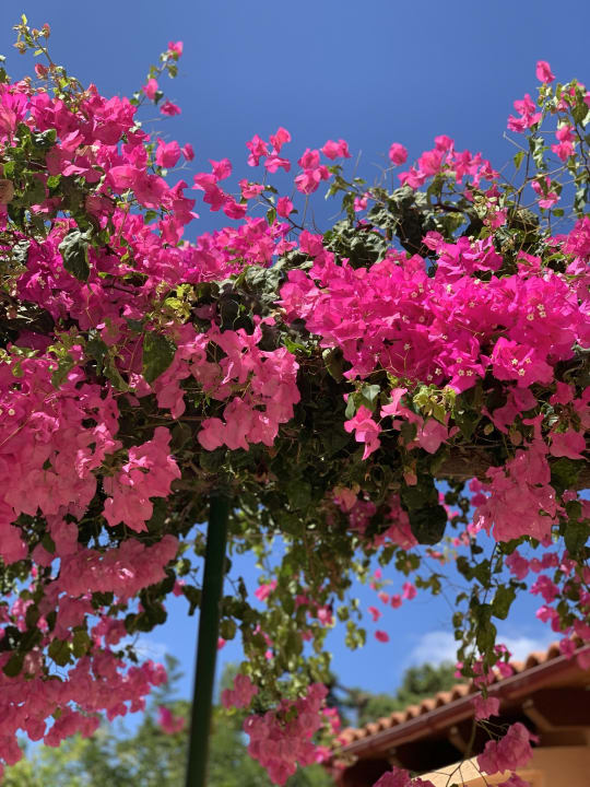 Sonstiges Anissa Beach & Village